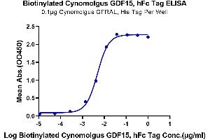 Immobilized Cynomolgus GFRAL, His Tag at 1 μg/mL (100 μL/Well) on the plate. (GDF15 Protein (AA 197-308) (Fc Tag,Biotin))