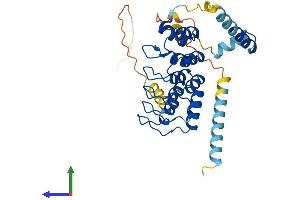 Protein Structure (PS) image for Ankyrin Repeat Domain 2 (Stretch Responsive Muscle) (ANKRD2) (AA 1-328) protein (His tag) (ABIN7556297)