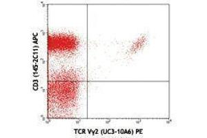 Flow Cytometry (FACS) image for anti-TCR Vgamma2 antibody (PE) (ABIN2662883) (TCR Vgamma2 antibody (PE))