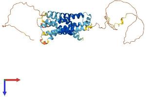AlphaFold protein structure predicition of Human Recombinant GPR137C Protein, UniprotID Q8N3F9 (GPR137C Protein (AA 1-429) (His tag))