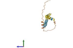 Protein Structure (PS) image for Interferon-Induced Transmembrane Protein 3 (IFITM3) (AA 1-133) protein (His tag) (ABIN7554182)