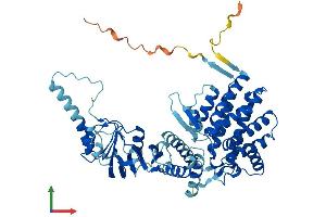 AlphaFold protein structure predicition of Mouse Recombinant Cct7 Protein, UniprotID P80313 (CCT7 Protein (AA 1-544) (His tag))