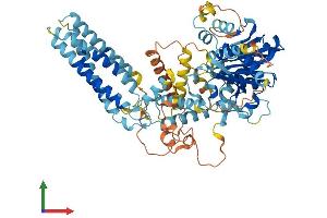 AlphaFold protein structure predicition of Human Recombinant DAGLB Protein, UniprotID Q8NCG7