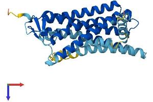 AlphaFold protein structure predicition of Human Recombinant OR10G9 Protein, UniprotID Q8NGN4 (OR10G9 Protein (AA 1-311) (His tag))