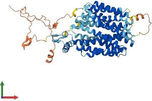 AlphaFold protein structure predicition of Mouse Recombinant Svop Protein, UniprotID Q8BFT9 (SVOP Protein (AA 1-548) (His tag))