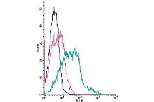 Cell surface detection of Thromboxane A2 Receptor by direct flow cytometry in live intact human  megakaryoblast leukemia cells: + Rabbit IgG isotype control-FITC.
