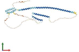 AlphaFold protein structure predicition of Mouse Recombinant Rilp Protein, UniprotID Q5ND29 (RILP Protein (AA 1-369) (His tag))