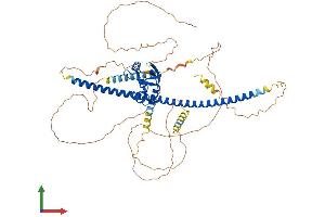 Protein Structure (PS) image for Dachshund 2 (DACH2) (AA 1-599) protein (His tag) (ABIN7553610)