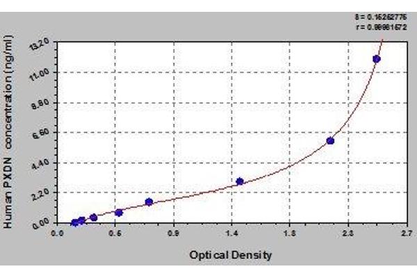 Peroxidasin ELISA Kit