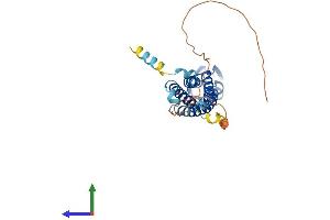 AlphaFold protein structure predicition of Human Recombinant SYP Protein, UniprotID P08247 (Synaptophysin Protein (SYP) (AA 1-313) (His tag))