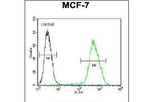 Flow cytometric analysis of MCF-7 cells (right histogram) compared to a negative control cell (left histogram). (LMO4 antibody  (AA 104-131))