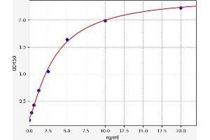 Typical standard curve (GNMT ELISA Kit)