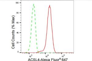 Flow cytometric analysis of ACSL4 expression in HT- cells using ACSL4 antibody (ABIN7797498), 1:2,000).