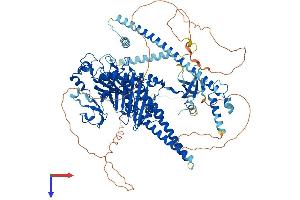 AlphaFold protein structure predicition of Mouse Recombinant Morc2a Protein, UniprotID Q69ZX6 (Microrchidia 2A Protein (MORC2A) (AA 1-1030) (His tag))