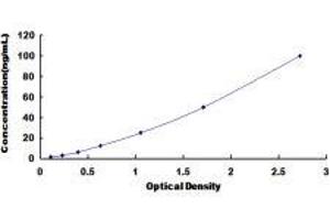 Coagulation Factor II (thrombin) (F2) ELISA Kit