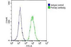 Overlay histogram showing A549 cells stained with Antibody (green line).