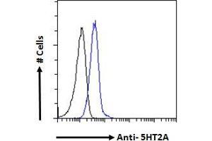Flow Cytometry (FACS) image for anti-5-Hydroxytryptamine (serotonin) Receptor 2A (HTR2A) (AA 296-309) antibody (ABIN1049520)