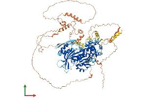 AlphaFold protein structure predicition of Human Recombinant DENND2C Protein, UniprotID Q68D51 (DENND2C Protein (AA 1-928) (His tag))