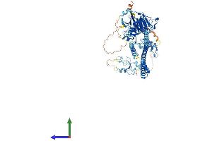 AlphaFold protein structure predicition of Human Recombinant TRIM47 Protein, UniprotID Q96LD4