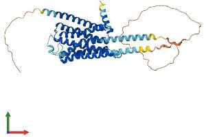 Protein Structure (PS) image for Serotonin Receptor 1A (HTR1A) (AA 1-422) protein (His tag) (ABIN7551742)