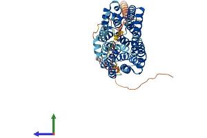 AlphaFold protein structure predicition of Mouse Recombinant Mfsd14a Protein, UniprotID P70187 (HIAT1 Protein (AA 1-490) (His tag))