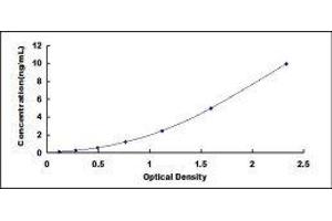 Prosaposin (PSAP) ELISA Kit