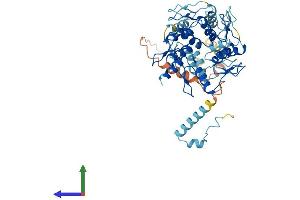 AlphaFold protein structure predicition of Human Recombinant ZNF878 Protein, UniprotID C9JN71 (ZNF878 Protein (AA 1-531) (His tag))
