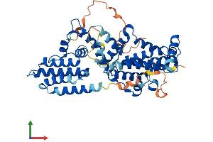 Protein Structure (PS) image for RasGEF Domain Family, Member 1C (RASGEF1C) (AA 1-466) protein (His tag) (ABIN7560934)