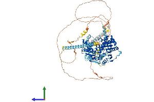 Protein Structure (PS) image for DEAD (Asp-Glu-Ala-Asp) Box Polypeptide 10 (DDX10) (AA 1-875) protein (His tag) (ABIN7558429)