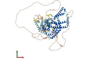AlphaFold protein structure predicition of Human Recombinant ATG9B Protein, UniprotID Q674R7
