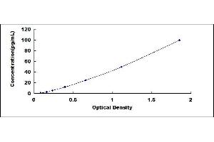 Urocortin 2 (UCN2) ELISA Kit