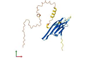 AlphaFold protein structure predicition of Mouse Recombinant Cryaa Protein, UniprotID P24622