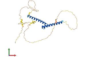 AlphaFold protein structure predicition of Human Recombinant OLIG3 Protein, UniprotID Q7RTU3 (OLIG3 Protein (AA 1-272) (His tag))