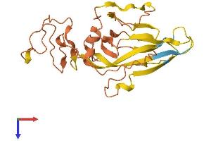 AlphaFold protein structure predicition of Human Recombinant ERVK-5 Protein, UniprotID Q9HDB8
