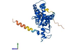 Protein Structure (PS) image for Non-SMC Element 1 Homolog (NSMCE1) (AA 1-266) protein (His tag) (ABIN7561064)