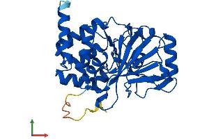 AlphaFold protein structure predicition of Mouse Recombinant Ppp2ca Protein, UniprotID P63330