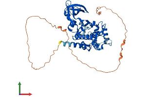 AlphaFold protein structure predicition of Mouse Recombinant Mok Protein, UniprotID Q9WVS4