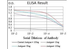 Black line: Control Antigen (100 ng), Purple line: Antigen(10 ng), Blue line: Antigen (50 ng), Red line: Antigen (100 ng),