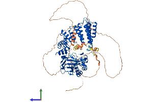 AlphaFold protein structure predicition of Mouse Recombinant Asph Protein, UniprotID Q8BSY0 (Aspartate beta Hydroxylase Protein (AA 1-741) (His tag))