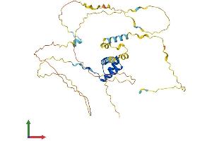 Protein Structure (PS) image for BarH-Like Homeobox 2 (BARHL2) (AA 1-384) protein (His tag) (ABIN7559956)