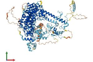 AlphaFold protein structure predicition of Mouse Recombinant Polg Protein, UniprotID P54099 (POLG Protein (AA 1-1218) (His tag))