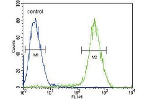 Flow Cytometry (FACS) image for anti-Cannabinoid Receptor 2 (CNR2) antibody (ABIN2995770) (CNR2 antibody)