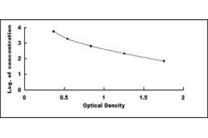 Typical standard curve (Kallikrein 1 ELISA Kit)