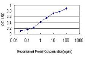 Detection limit for recombinant GST tagged HTRA2 is approximately 0. (HTRA2 antibody  (AA 359-458))