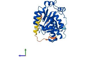 AlphaFold protein structure predicition of Mouse Recombinant Cnot8 Protein, UniprotID Q9D8X5 (CNOT8 Protein (AA 1-292) (His tag))