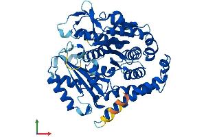 AlphaFold protein structure predicition of Human Recombinant TUBB2A Protein, UniprotID Q13885