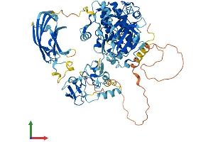 Protein Structure (PS) image for Protein Kinase C, epsilon (PRKCE) (AA 1-737) protein (His tag) (ABIN7562899)