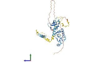 Protein Structure (PS) image for Sarcoglycan, epsilon (SGCE) (AA 1-437) protein (His tag) (ABIN7546164)