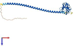 AlphaFold protein structure predicition of Human Recombinant OLR1 Protein, UniprotID P78380 (OLR1 Protein (AA 1-273) (His tag))