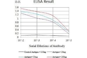 Black line: Control Antigen (100 ng),Purple line: Antigen (10 ng), Blue line: Antigen (50 ng), Red line:Antigen (100 ng) (PTPRF antibody  (AA 1104-1163))